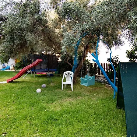 The Big Cypress Απόλπαινα